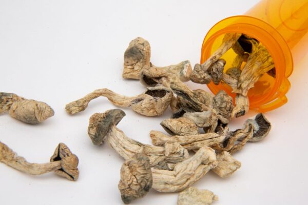 Psilocybin mushrooms for anxiety