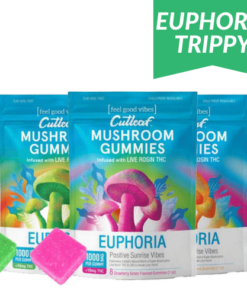 mushroom gummies